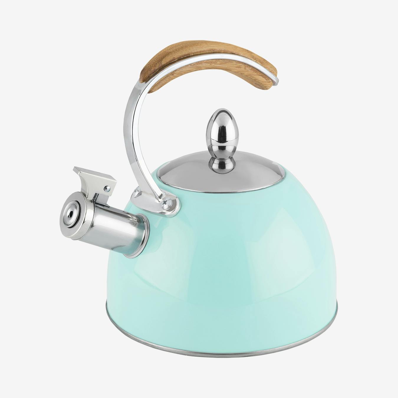 Light blue sale tea kettle